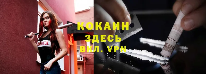 цены   Реутов  Cocaine FishScale 